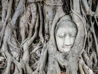 Que-ver-en-Ayutthaya-cabeza