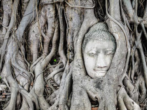 Que-ver-en-Ayutthaya-cabeza