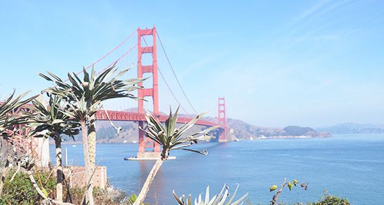 que-ver-san-francisco-golden-gate