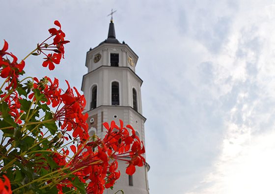 Qué-ver-en-Vilna-campanario