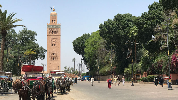 Que-hacer-Marrakech-koutibia