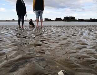 MONSTRAVEL_Normandia_playa