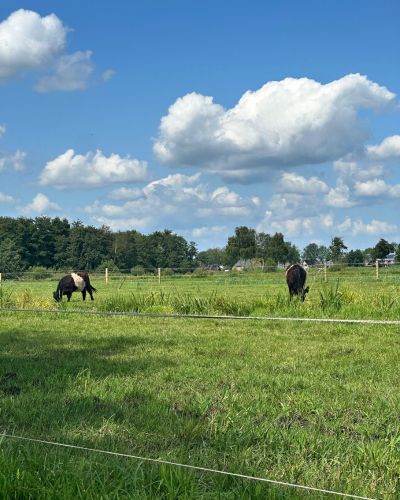 Monstravel Giethoorn la Venecia de Holanda Amsterdam